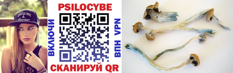 где найти   Устюжна  Псилоцибиновые грибы GOLDEN TEACHER 
